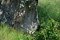 DSC 0336