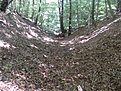 SDC11923