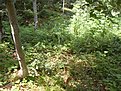SDC12305