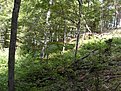 SDC12312
