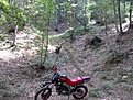 SDC12336
