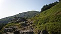 P7150049