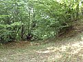 SDC12452