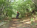 SDC12505