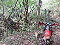 SDC12512