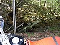 SDC12723