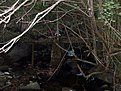 SDC12727
