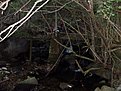 SDC12728