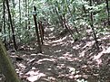 SDC12743