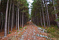 MG 6324http://www.offroad-bulgaria.com/album.php?albumid=2813&attachmentid=480113