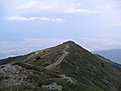 SDC12793