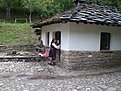 P1010085