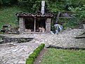 P1010105