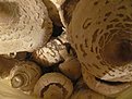IMG 4799
