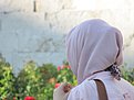 IMG 4031