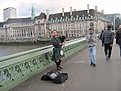 IMG 4974