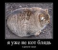 oKNlEjO7fvI