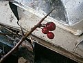 PC020021