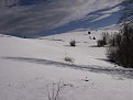P1200246