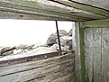 DSC00236