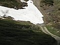 DSC00231
