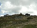 DSC00229
