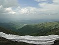 DSC00287