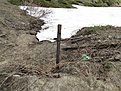 DSC00261