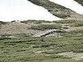 DSC00245