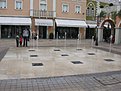 IMG 4454