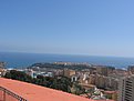 IMG 4455