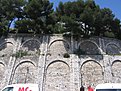 IMG 4459