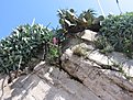 IMG 4462