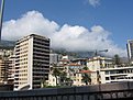 IMG 4467