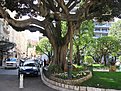 IMG 4489