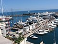 IMG 4495