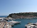 IMG 4497