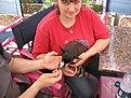 IMG 4528