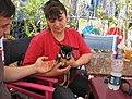 IMG 4529
