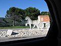 IMG 4556