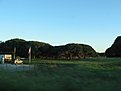 IMG 4557