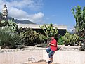 IMG 4502