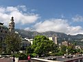 IMG 4504