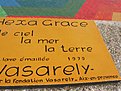 IMG 4507