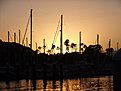 DSCF0483
