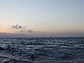 DSCF0490