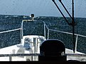 DSCF0513