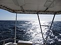 DSCF0534