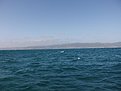 DSCF0552