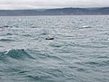 DSCF0748